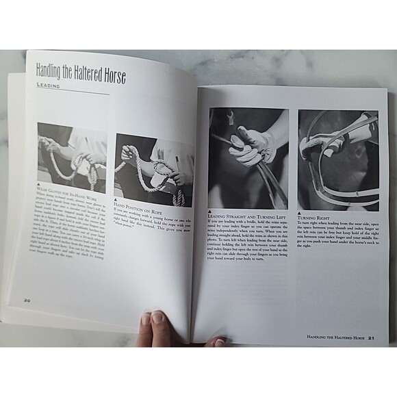 Horse Handling and Grooming : Haltering * Leading and Tying * Bathing and... - Picture 5 of 10